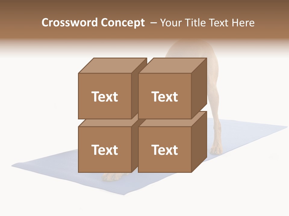 Play Bow Gold Pedigree PowerPoint Template