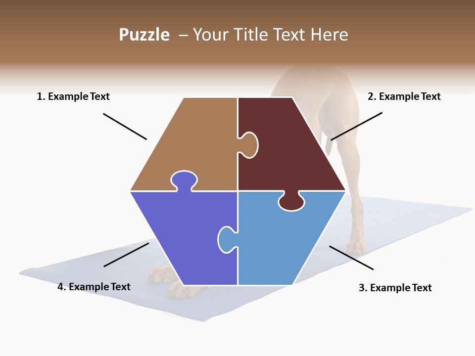 Play Bow Gold Pedigree PowerPoint Template