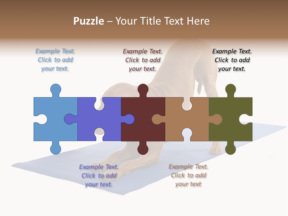 Play Bow Gold Pedigree PowerPoint Template