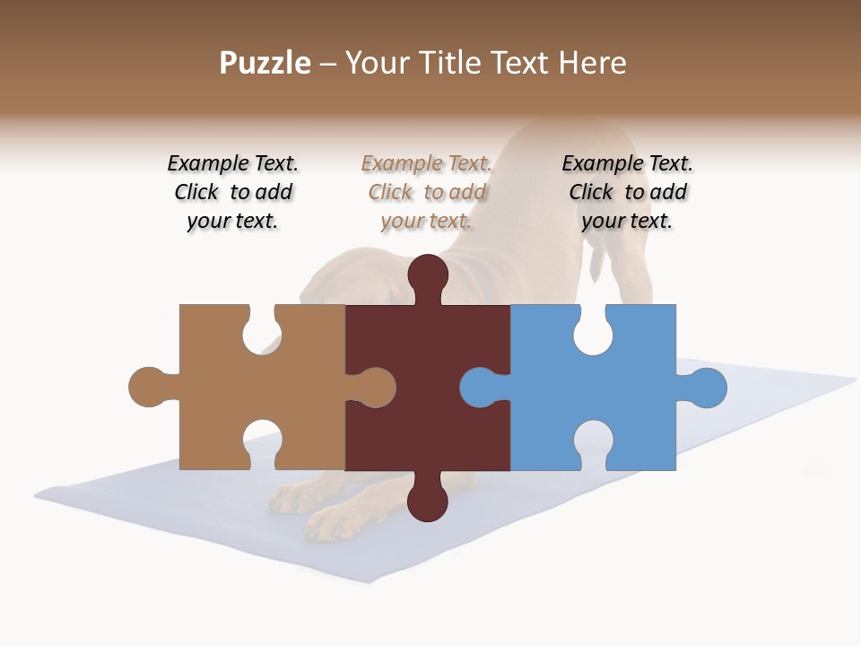 Play Bow Gold Pedigree PowerPoint Template