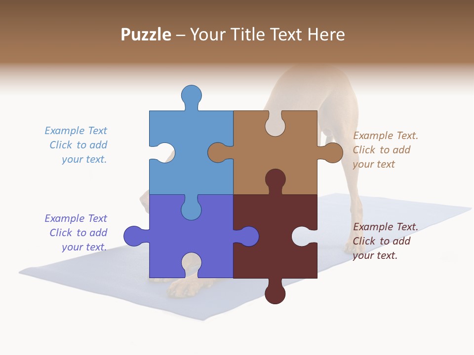 Play Bow Gold Pedigree PowerPoint Template