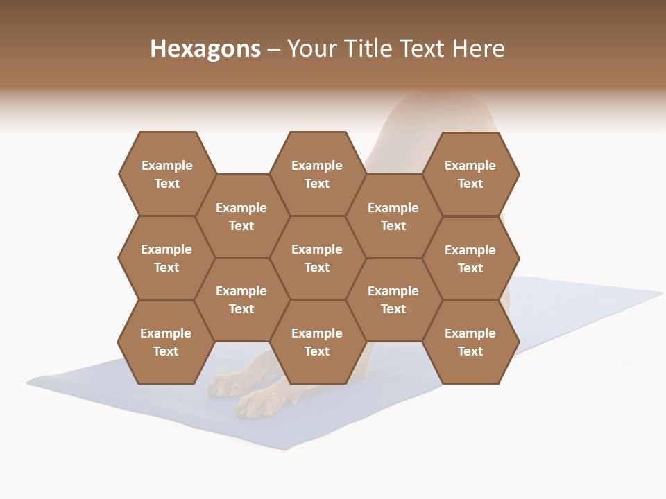 Play Bow Gold Pedigree PowerPoint Template