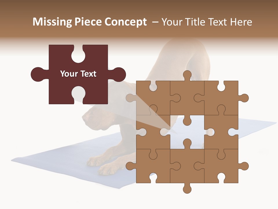 Play Bow Gold Pedigree PowerPoint Template