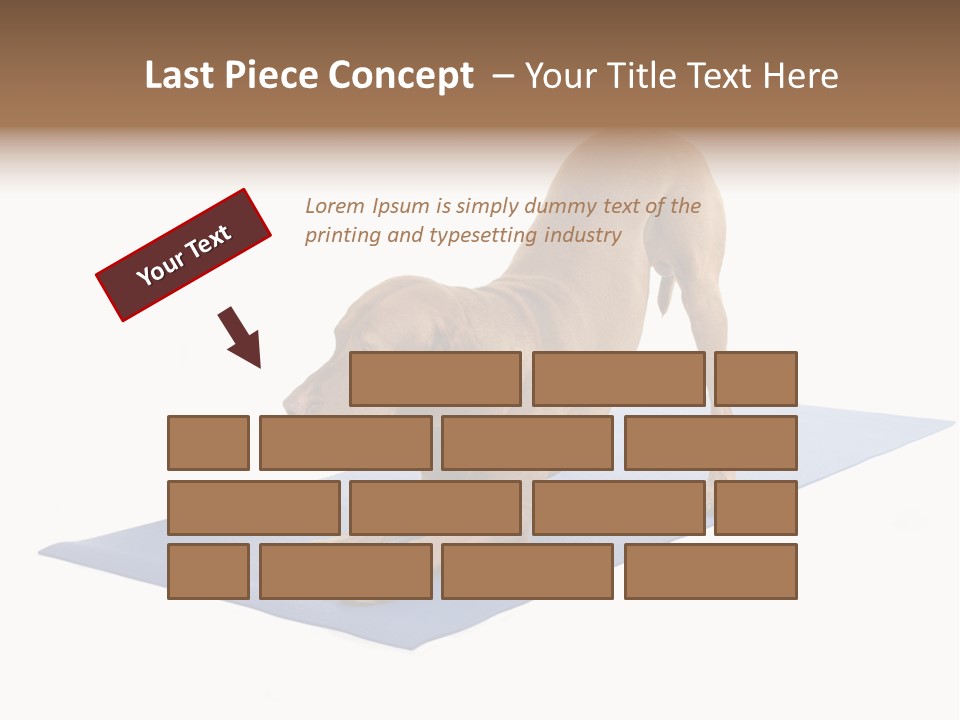 Play Bow Gold Pedigree PowerPoint Template