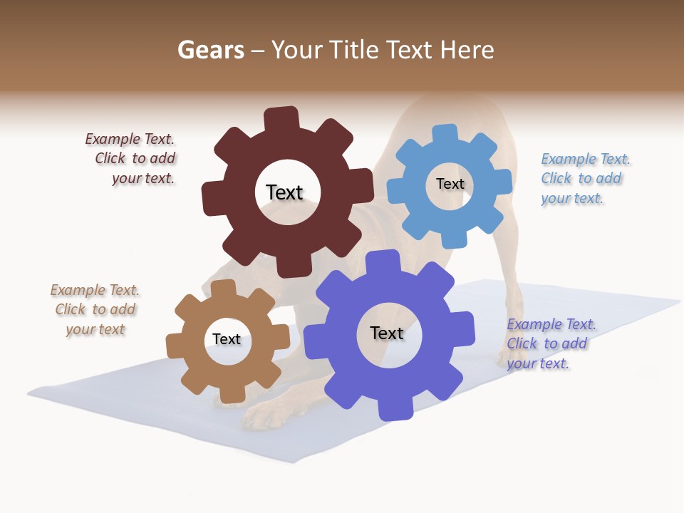 Play Bow Gold Pedigree PowerPoint Template