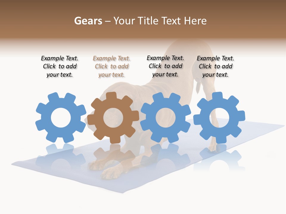 Play Bow Gold Pedigree PowerPoint Template