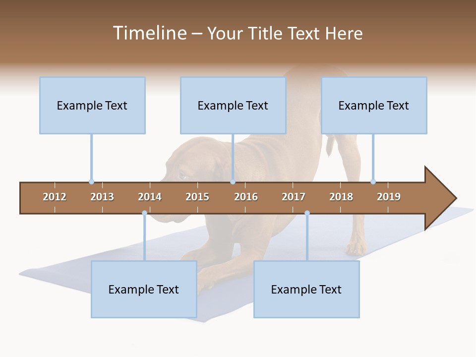 Play Bow Gold Pedigree PowerPoint Template