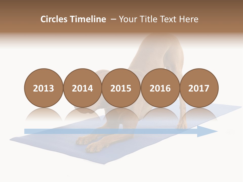 Play Bow Gold Pedigree PowerPoint Template