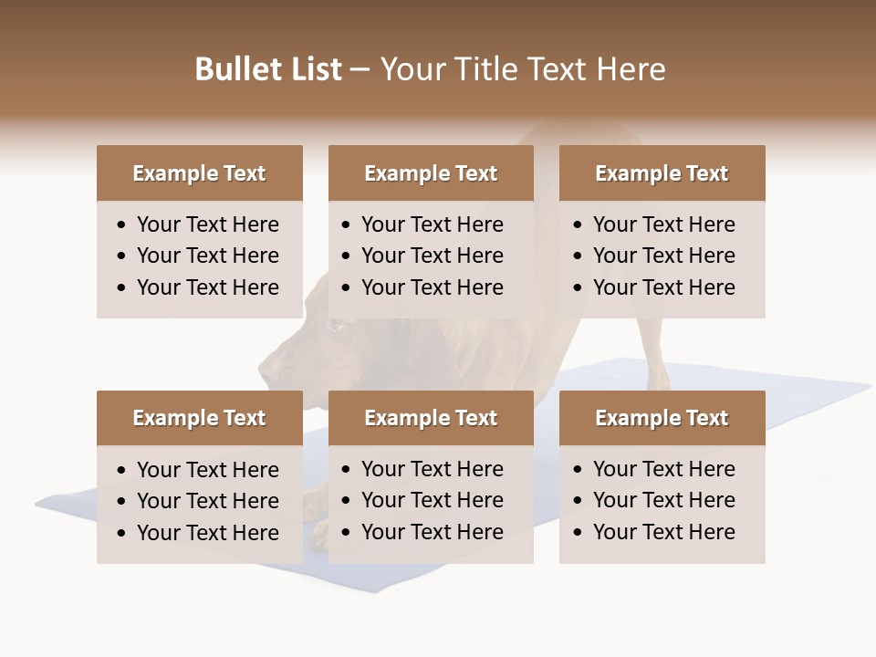 Play Bow Gold Pedigree PowerPoint Template