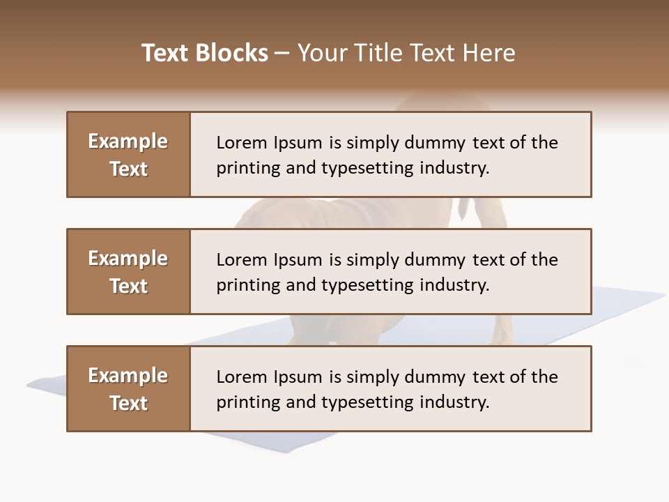 Play Bow Gold Pedigree PowerPoint Template