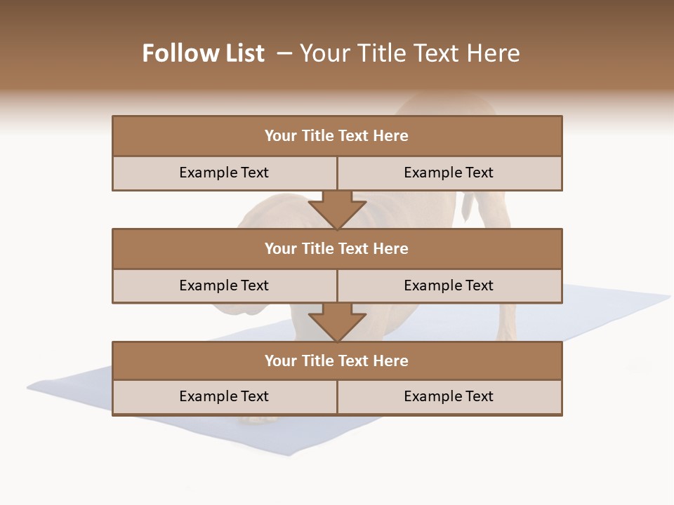 Play Bow Gold Pedigree PowerPoint Template
