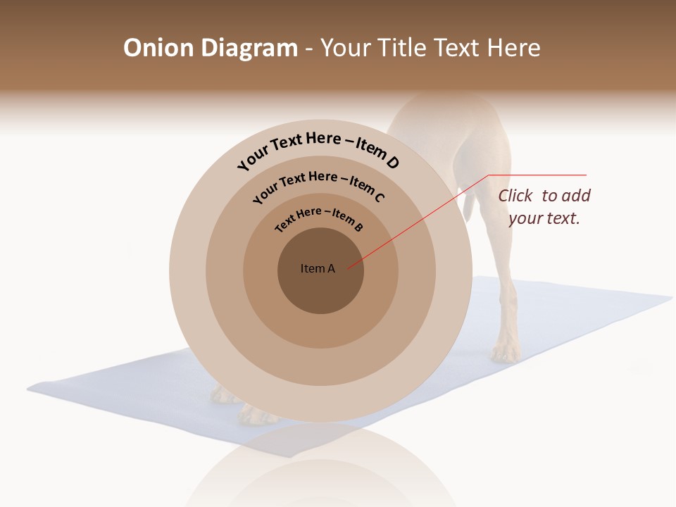 Play Bow Gold Pedigree PowerPoint Template