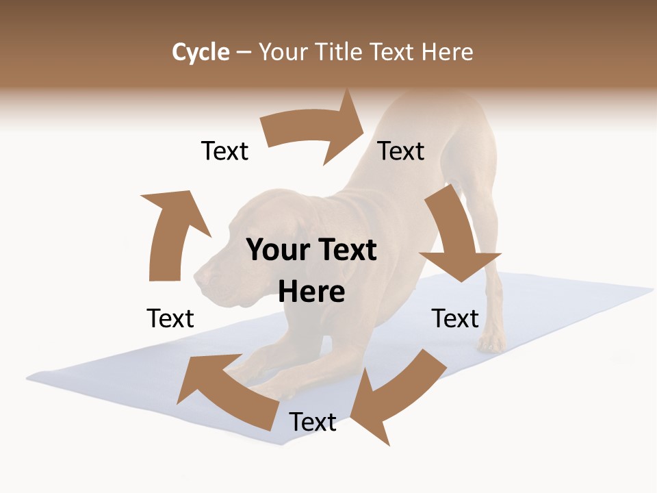 Play Bow Gold Pedigree PowerPoint Template