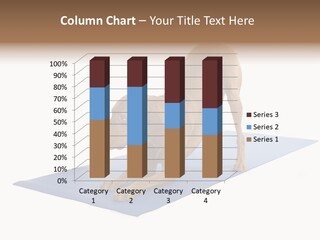 Play Bow Gold Pedigree PowerPoint Template