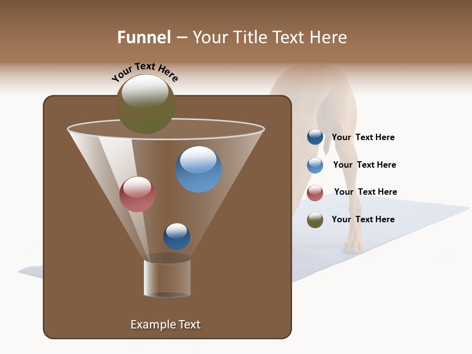 Play Bow Gold Pedigree PowerPoint Template