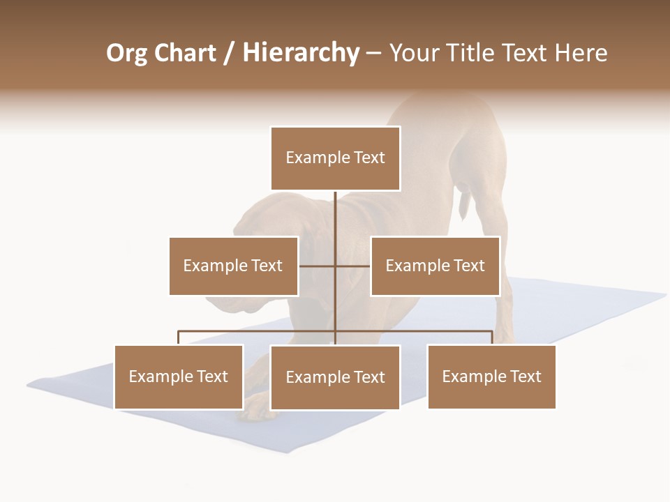 Play Bow Gold Pedigree PowerPoint Template