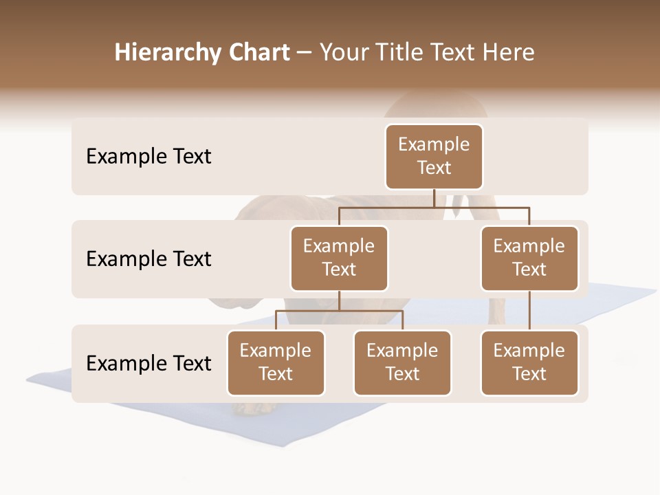 Play Bow Gold Pedigree PowerPoint Template