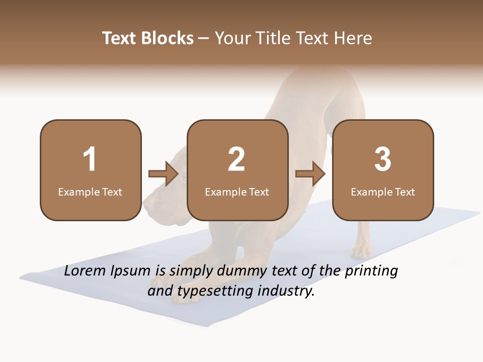 Play Bow Gold Pedigree PowerPoint Template