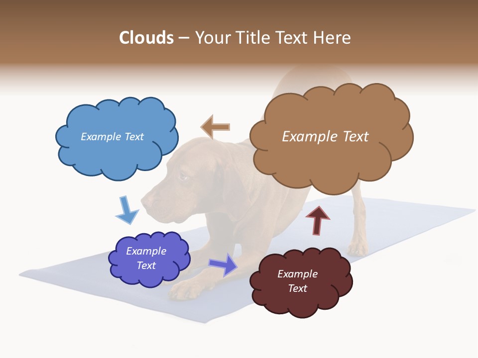 Play Bow Gold Pedigree PowerPoint Template