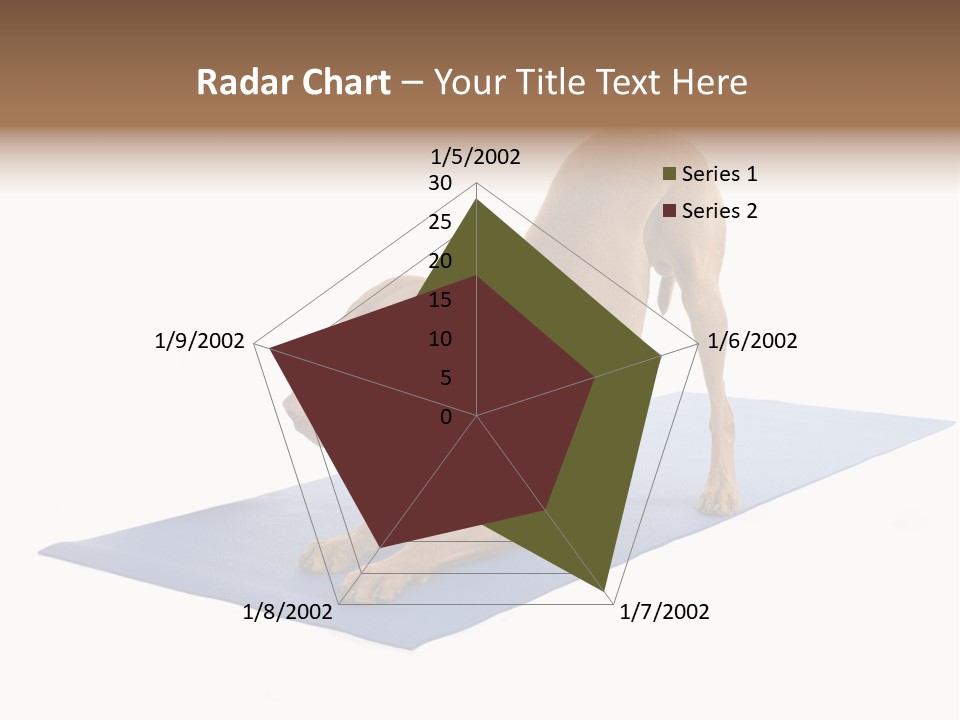 Play Bow Gold Pedigree PowerPoint Template