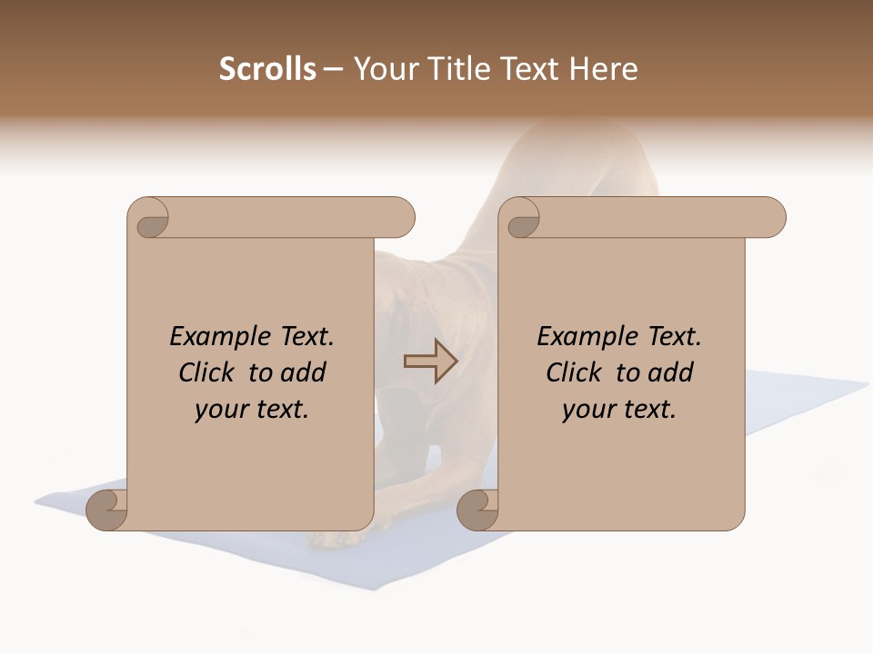 Play Bow Gold Pedigree PowerPoint Template