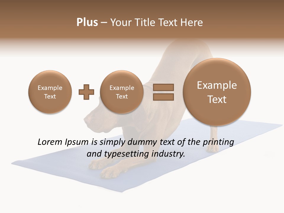 Play Bow Gold Pedigree PowerPoint Template
