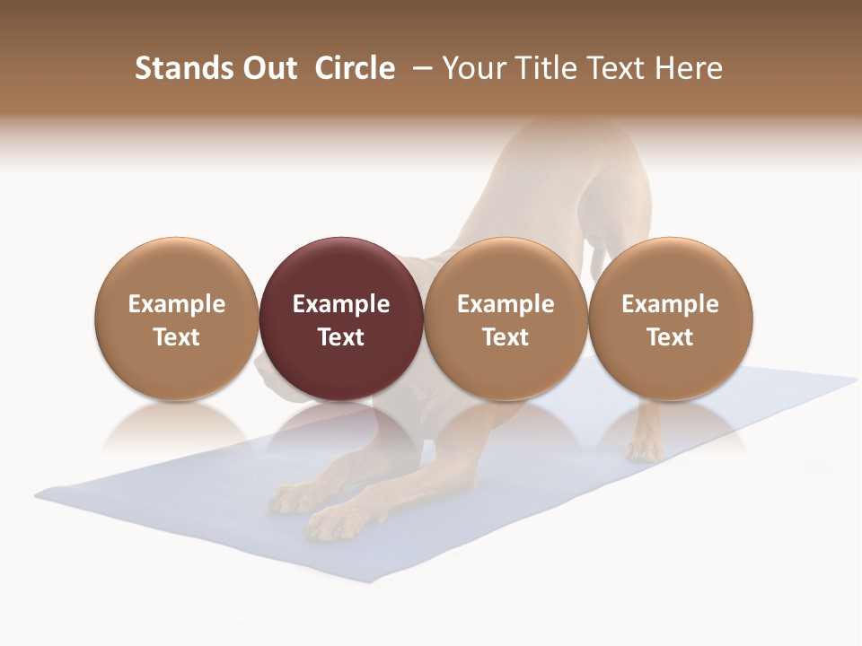 Play Bow Gold Pedigree PowerPoint Template