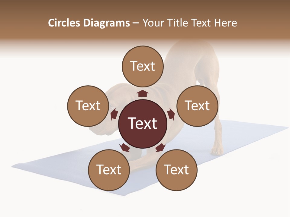 Play Bow Gold Pedigree PowerPoint Template