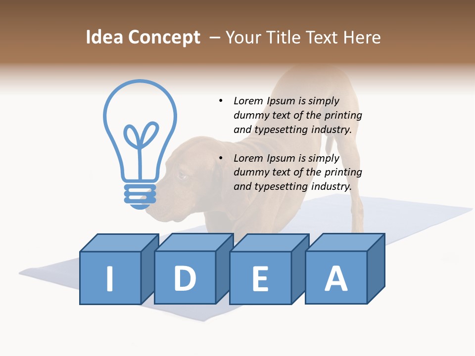 Play Bow Gold Pedigree PowerPoint Template