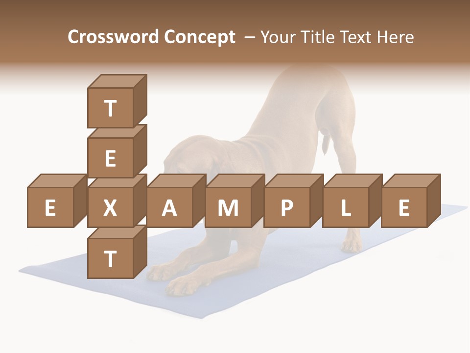 Play Bow Gold Pedigree PowerPoint Template