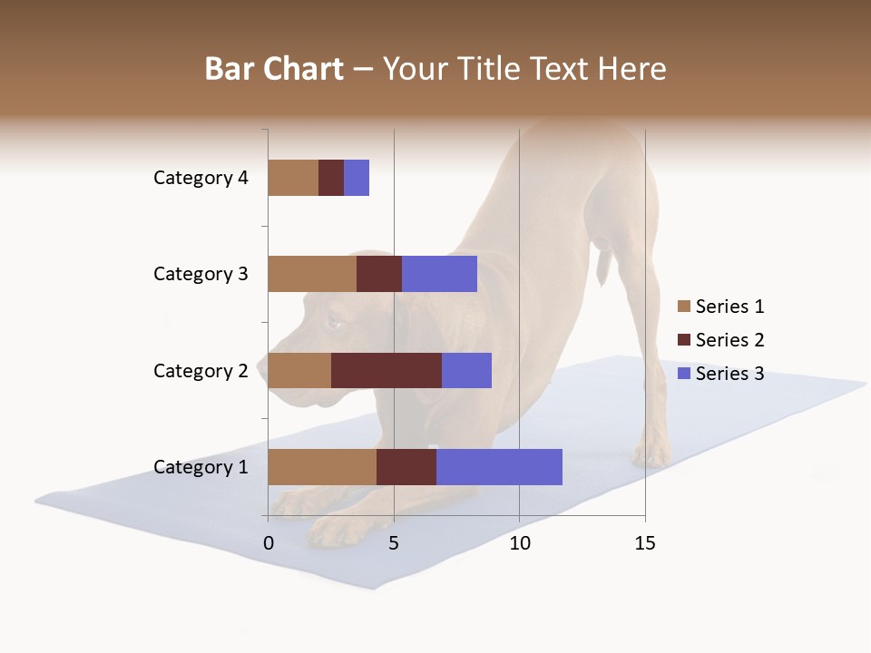 Play Bow Gold Pedigree PowerPoint Template