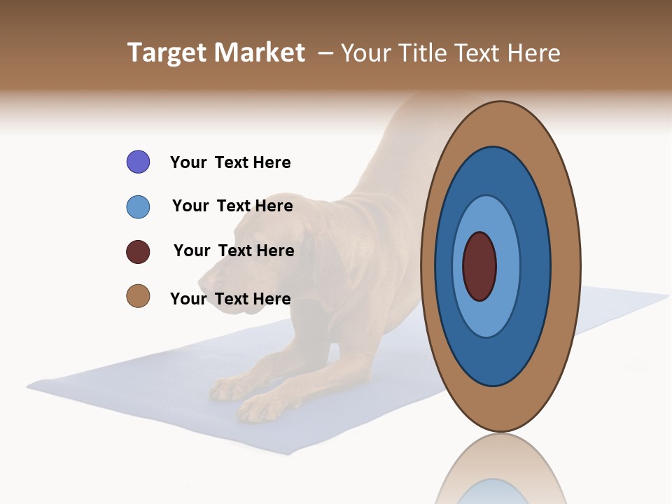 Play Bow Gold Pedigree PowerPoint Template