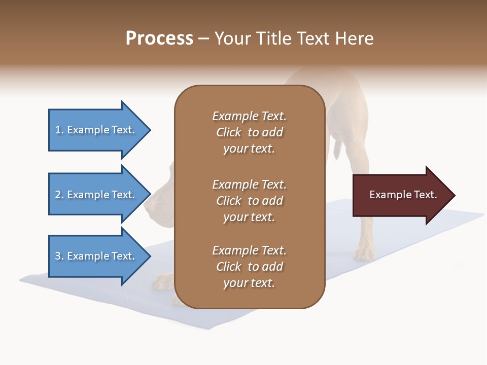 Play Bow Gold Pedigree PowerPoint Template