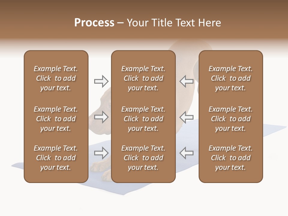 Play Bow Gold Pedigree PowerPoint Template