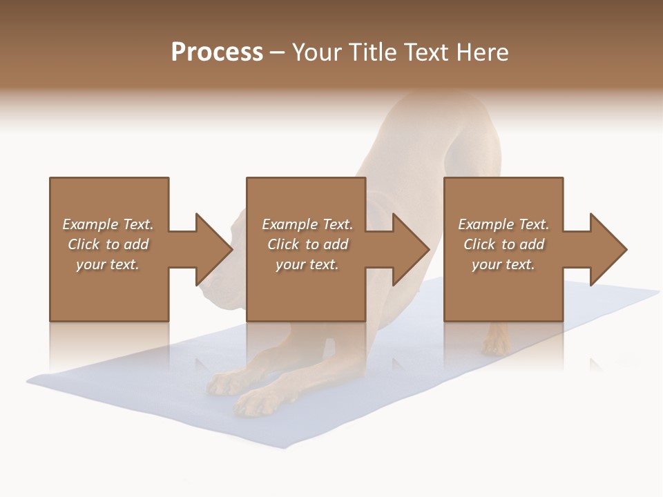 Play Bow Gold Pedigree PowerPoint Template