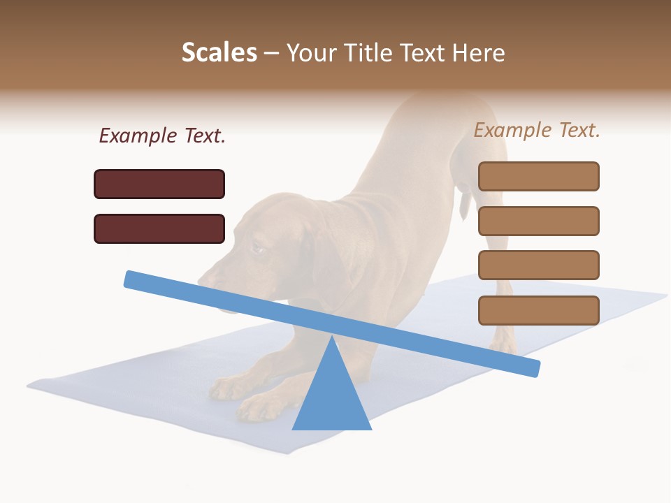 Play Bow Gold Pedigree PowerPoint Template