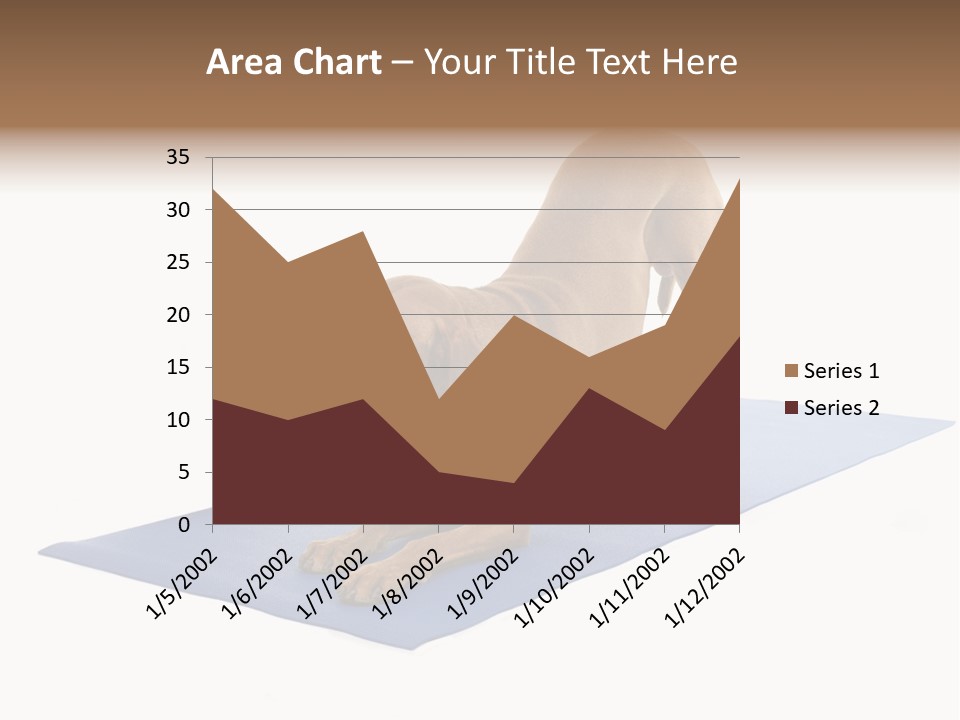 Play Bow Gold Pedigree PowerPoint Template