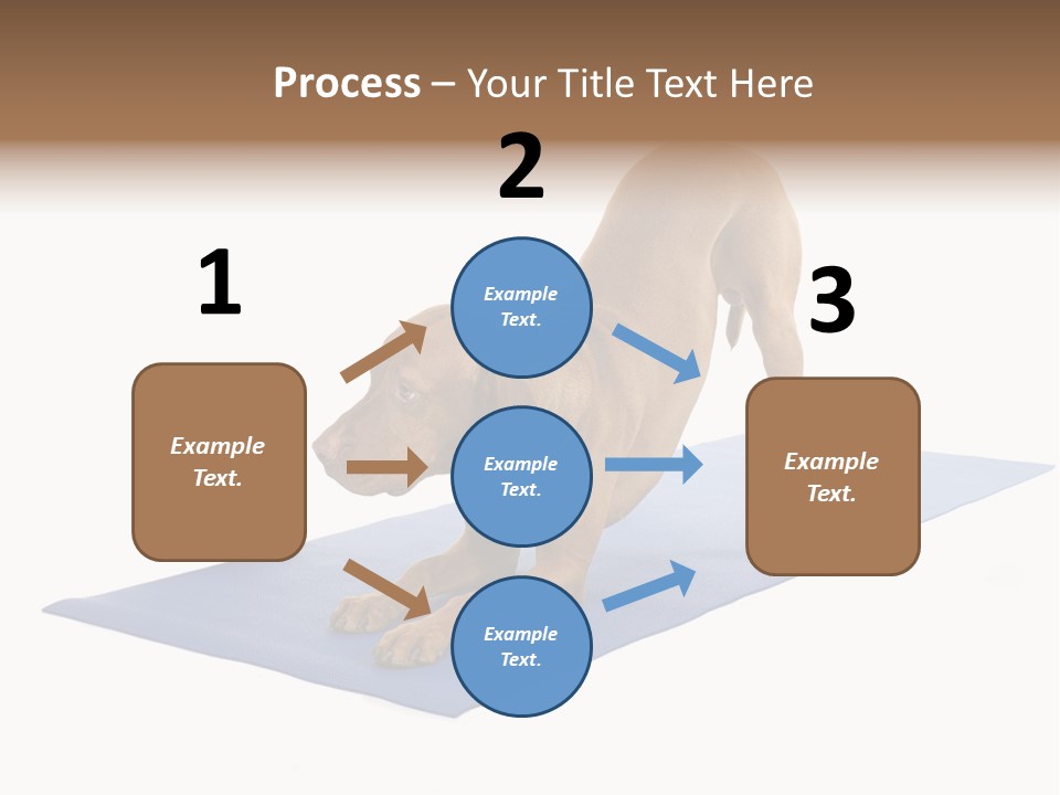 Play Bow Gold Pedigree PowerPoint Template