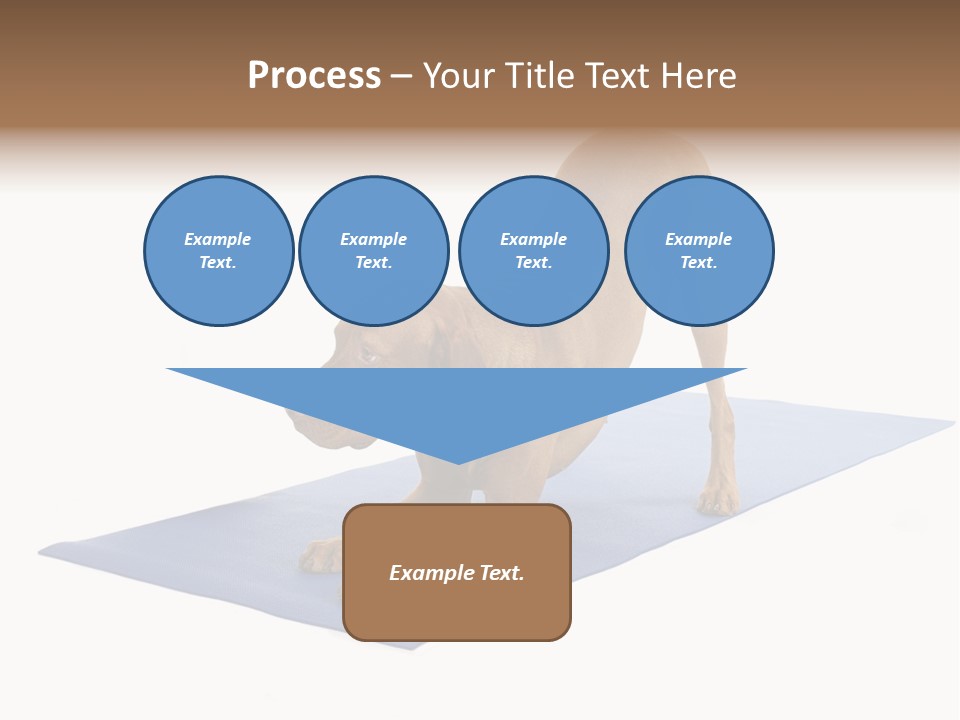 Play Bow Gold Pedigree PowerPoint Template