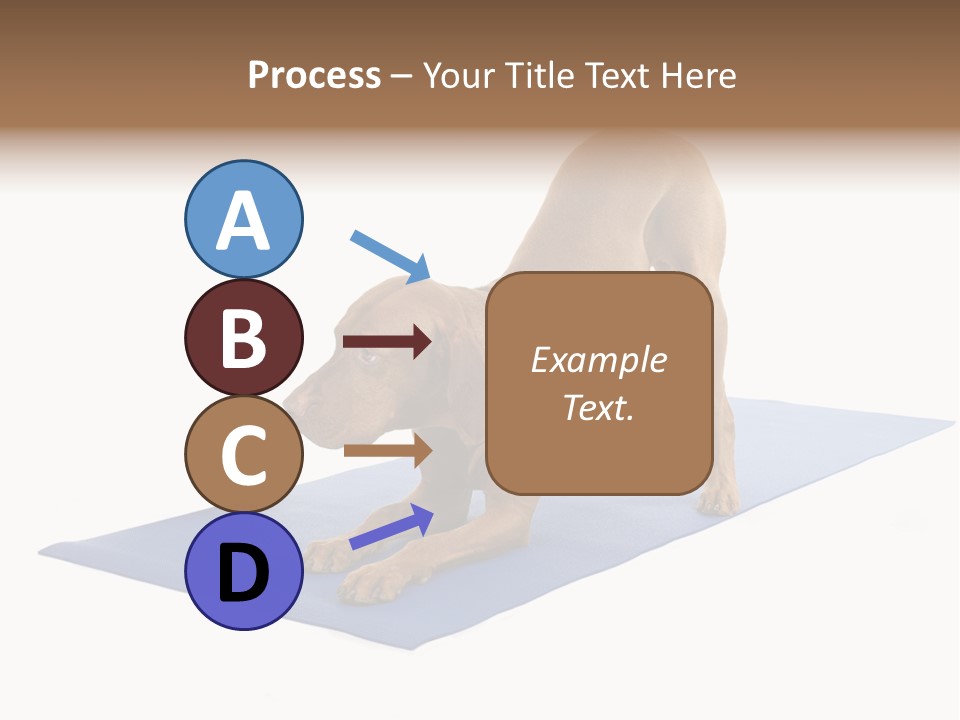 Play Bow Gold Pedigree PowerPoint Template