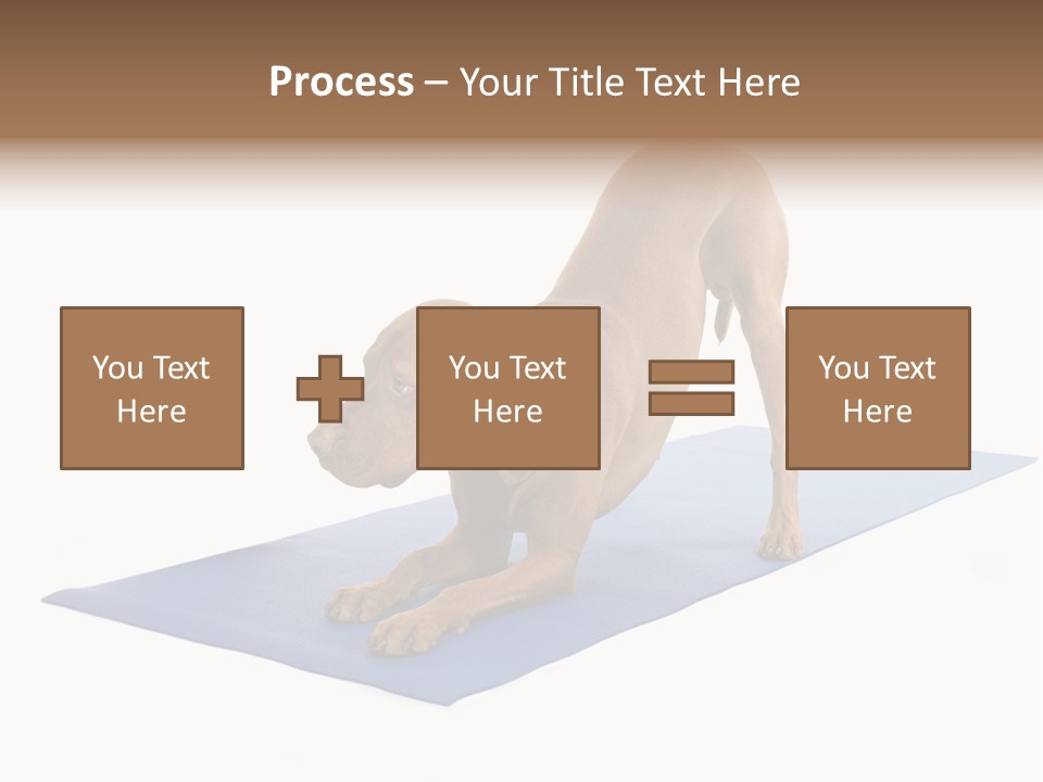 Play Bow Gold Pedigree PowerPoint Template