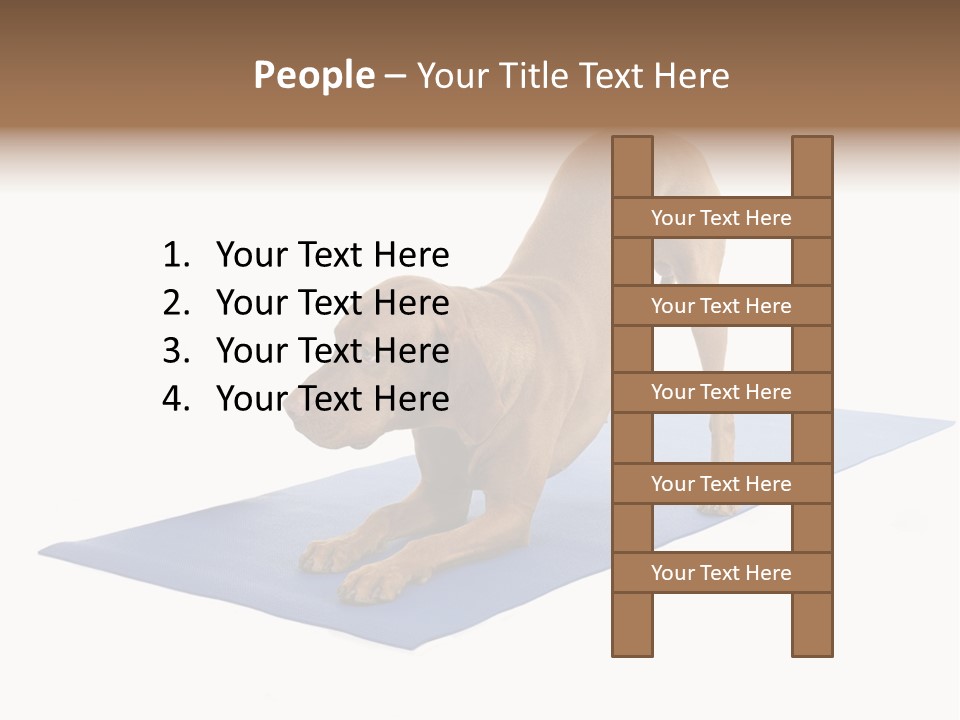 Play Bow Gold Pedigree PowerPoint Template