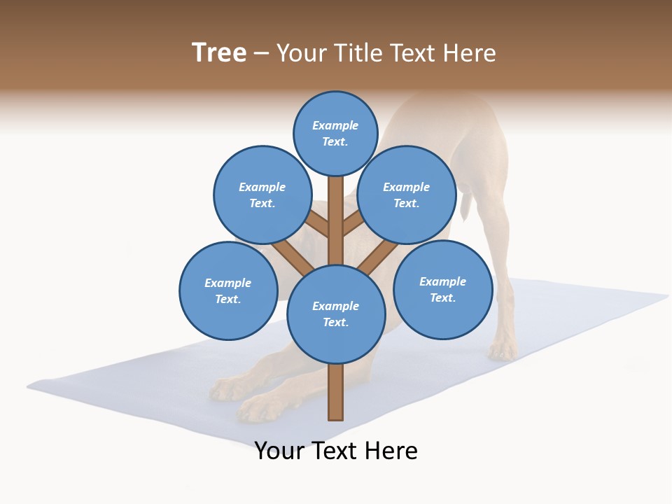 Play Bow Gold Pedigree PowerPoint Template