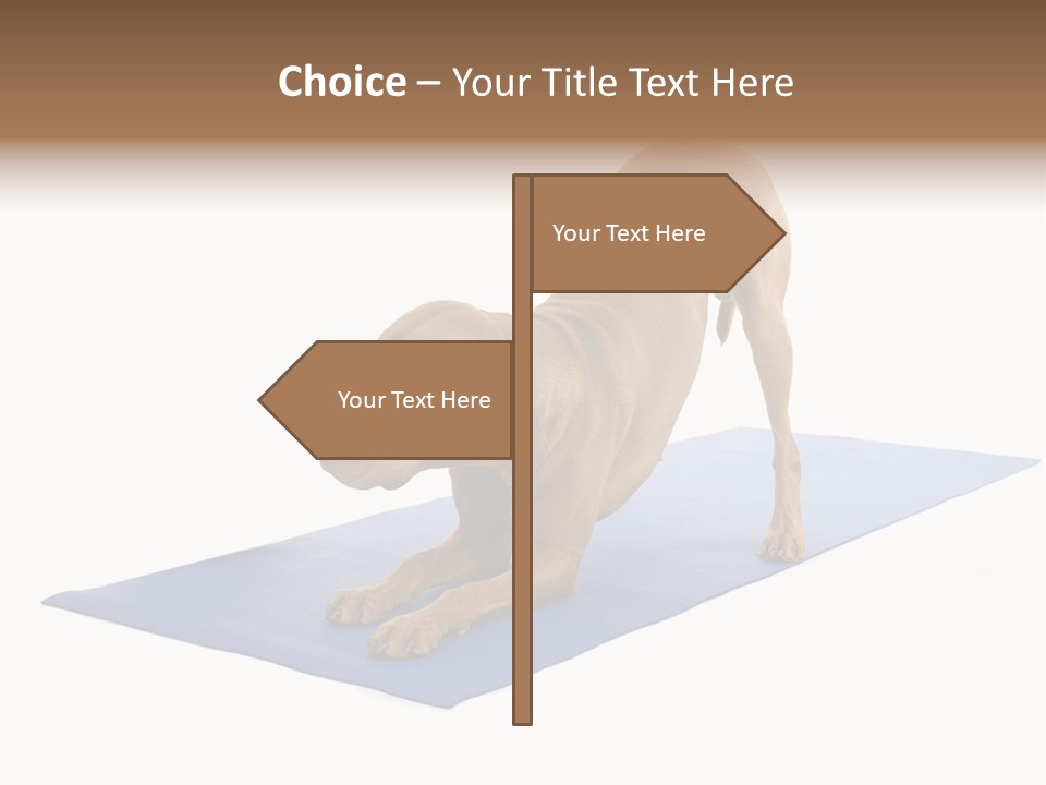 Play Bow Gold Pedigree PowerPoint Template