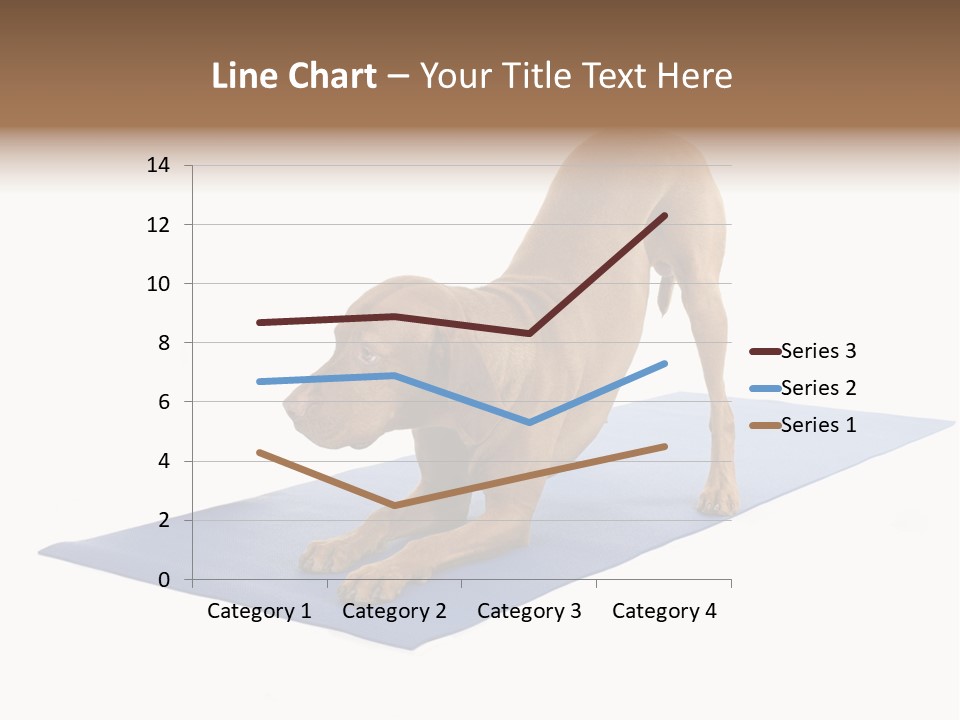 Play Bow Gold Pedigree PowerPoint Template