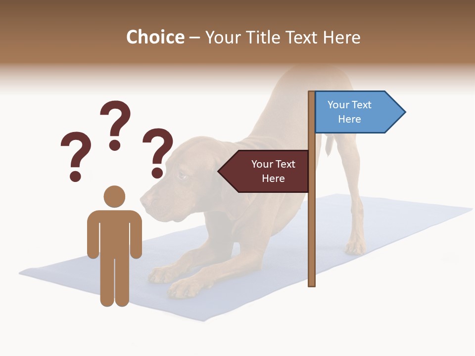 Play Bow Gold Pedigree PowerPoint Template