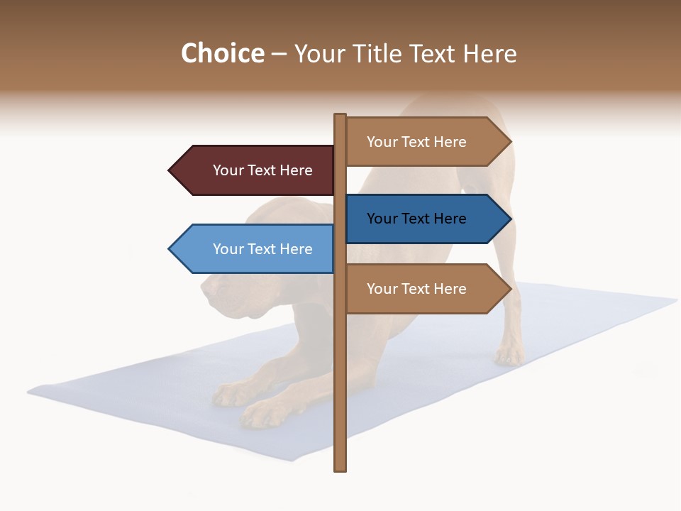 Play Bow Gold Pedigree PowerPoint Template