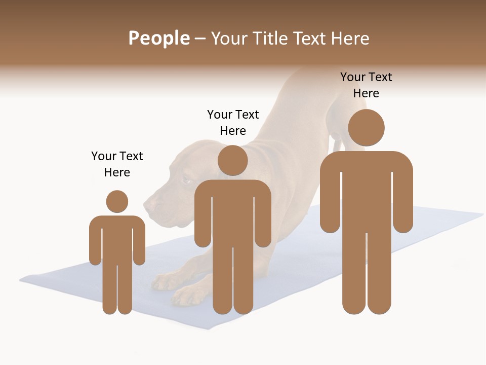 Play Bow Gold Pedigree PowerPoint Template