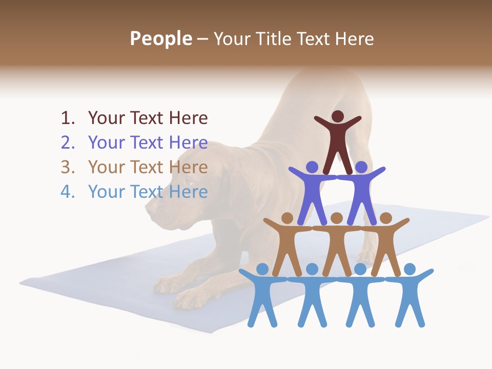 Play Bow Gold Pedigree PowerPoint Template