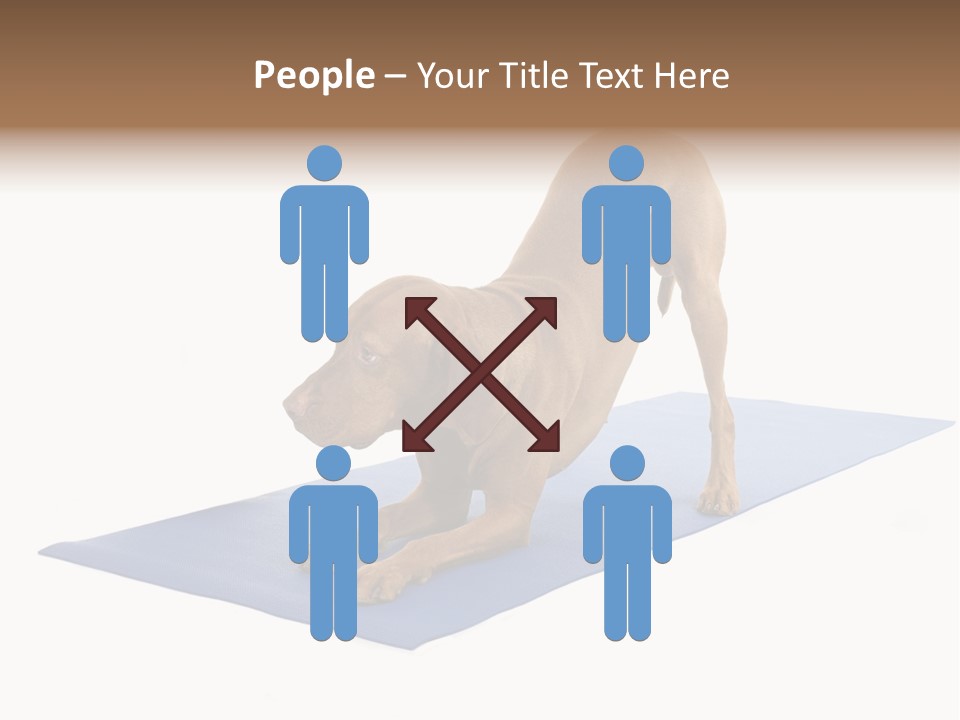 Play Bow Gold Pedigree PowerPoint Template